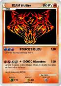 TEAM Wolfire