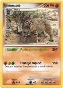 Trikion