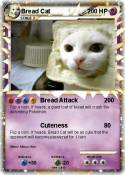 Bread Cat