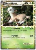 Baby Alpaca