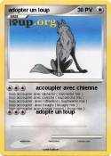 adopter un loup