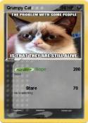 Grumpy Cat