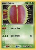 venus flytrap