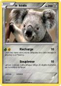 le koala
