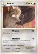 Bibicat