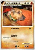 AWESOME DOG