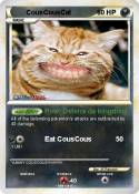 CousCousCat