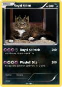 Royal kitten