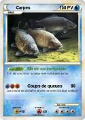 Carpes