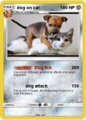 dog on cat