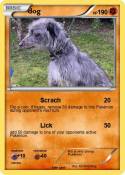 dog