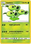 tripidora