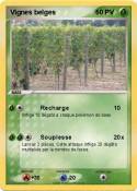 Vignes belges