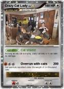 Crazy Cat Lady