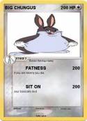 BIG CHUNGUS
