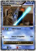 obi-cat kenobi
