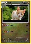 Chat