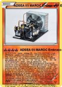ADSEA 05 MAROC