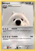 Samoyed
