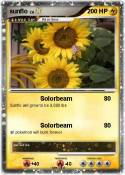 sunflo