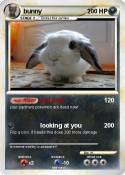 bunny
