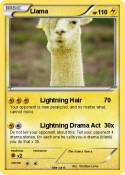 Llama