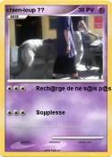 chien-loup ??