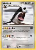 blind bird