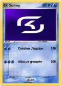 SK Gaming