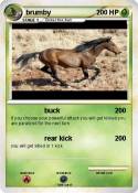 brumby