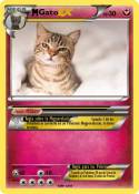 Gato