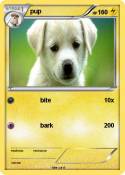 pup