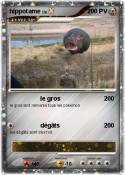 hippotame