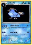 arcticotto