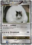 Gros Chat