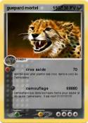 guepard mortel