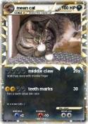 mean cat