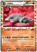 chaton