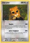 Chat poter