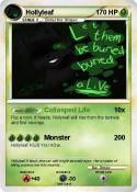 Hollyleaf