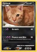 Cyclocat