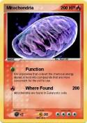 Mitochondria