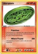 chloroplasts