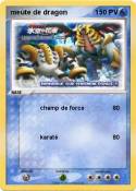 meute de dragon