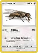 mouche