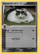 big bad fat cat