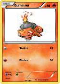 Burnasaur