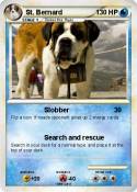 St. Bernard