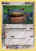 Mr.Hippo