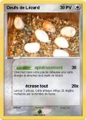 Oeufs de Lézard